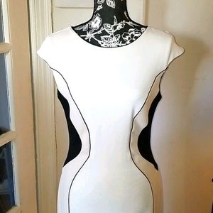 Ann Taylor Fitted Dress